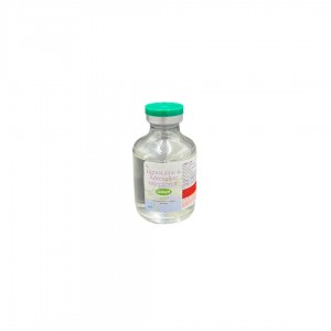 Lidayn Lignocaine 2% Adrenaline Injection 1:80000 30mL Vial