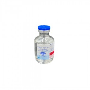 Lidayn Lignocaine HCI 2% Adrenaline Local Anesthetic Injection 1:200000 30mL Vial