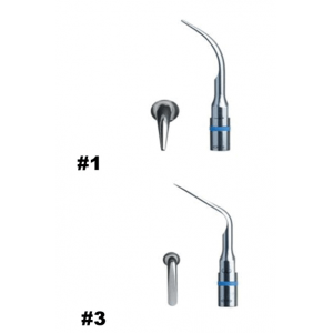 Scaler Tip #1S