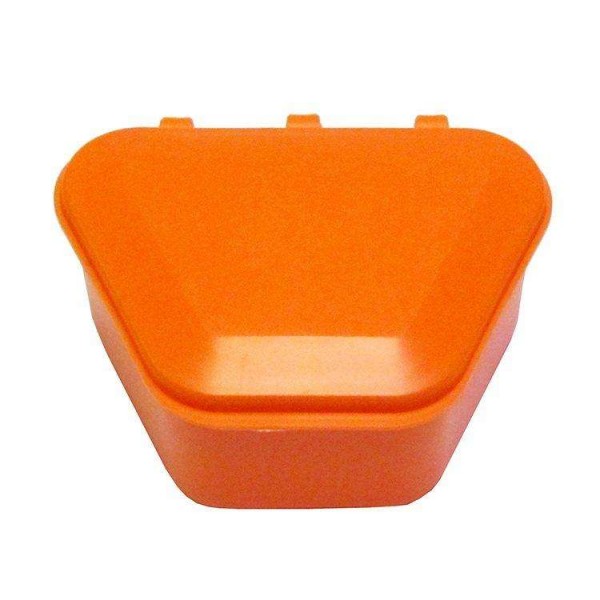 Denture Storage Boxes