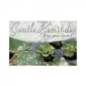 Lily Pads Postcard - 250/pk