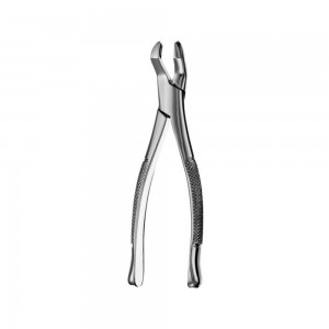 Extraction Forcep #53R American Pattern