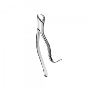 Extraction Forcep #16 American Pattern