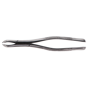 Extracting Forceps