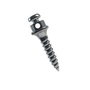 TADS Orthodontic Mini Screw (2 pcs)